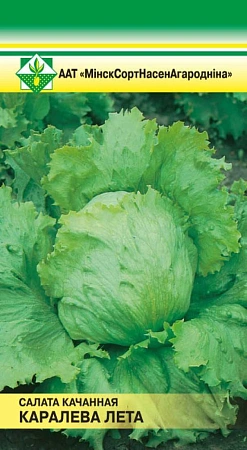Салат Королева лета кочанный, 0,5 г (МССО)