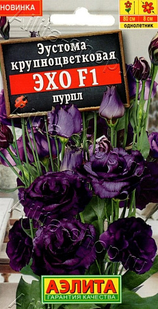 Эустома Эхо F1 пурпл крупноцветковая, 5 шт (Аэлита)