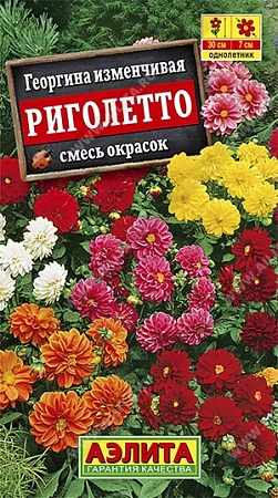 Георгина Риголетто, смесь 0,3 г