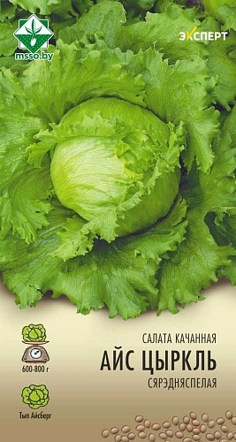 Салат Айс Циркль кочанный, 20 шт (МССО) Салат Айс Циркль кочанный, 20 шт (МССО)