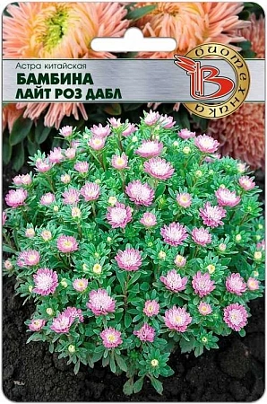 Астра Бамбина Лайт Роз Дабл китайская, 20 шт (Биотехника)
