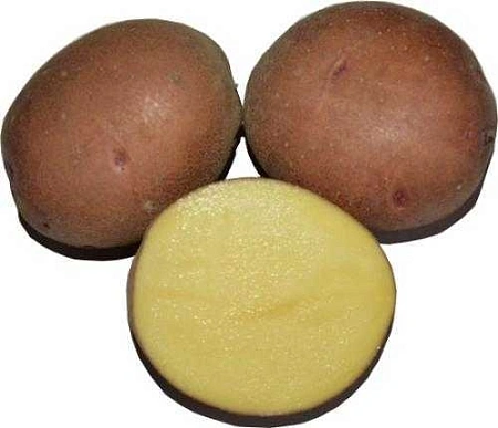 Картофель Першацвет семенной (элита), 5 кг