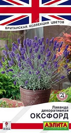 Лаванда декоративная Оксфорд 0,1 г Лаванда декоративная Оксфорд 0,1 г
