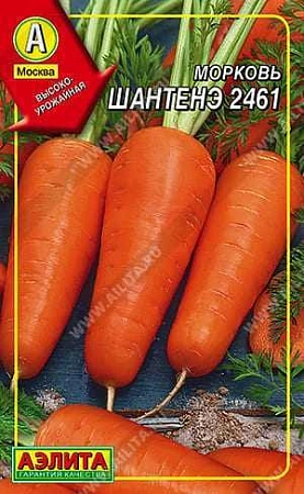 Морковь Шантенэ 2461, драже 300 шт (АЭЛИТА)