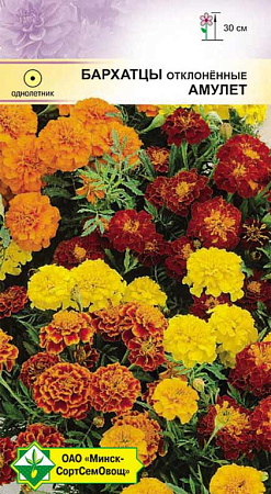 Бархатцы отклоненные Амулет Бонита, смесь 0,5 г (МССО) Бархатцы отклоненные Амулет Бонита, смесь 0,5 г (МССО)