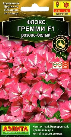 Флокс друммонда Гремми F1 розово-белый, 5 шт