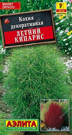 Кохия Летний кипарис 0,3 г (АЭЛИТА) Кохия Летний кипарис 0,3 г (АЭЛИТА)