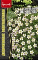 Камнеломка Манчжурская, 0,01 г (Ред.Сем) Камнеломка Манчжурская, 0,01 г (Ред.Сем)