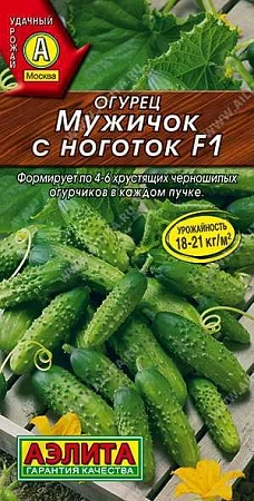 Огурец Мужичок с ноготок F1, 10 шт (АЭЛИТА)