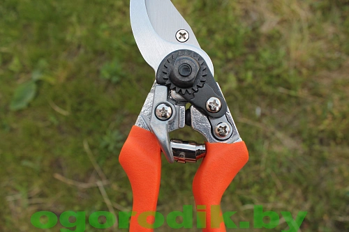 Секатор плоскостной 21 cm Hecht 421 Секатор плоскостной 21 cm Hecht 421