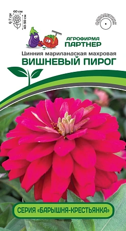 Цинния Вишневый пирог (5 шт), 2-ной пак. (ПАРТНЕР)