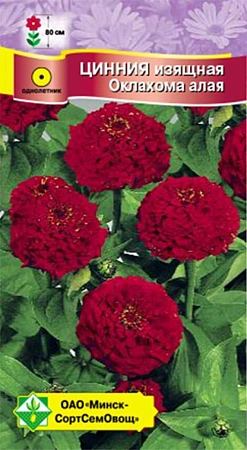Цинния изящная Оклахома Алая 0,2 г (МССО) Цинния изящная Оклахома Алая 0,2 г (МССО)