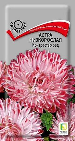 Астра низкорослая Контрастер Ред, 0,1 г (Поиск)