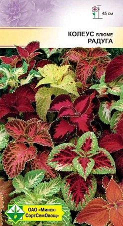 Колеус Блюме Радуга 0,1 г (МССО) Колеус Блюме Радуга 0,1 г (МССО)