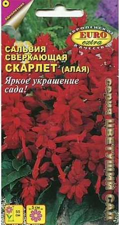 Сальвия Скарлет сверкающая (Алая), 0,1 г (Аэлита)