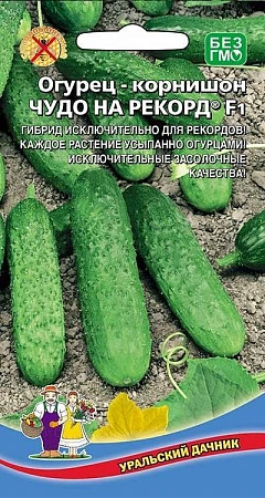 Огурец корнишон Чудо на рекорд F1, 6 шт (УД)