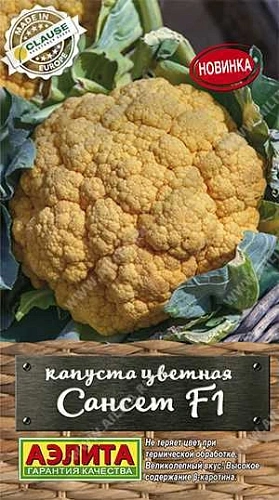 Капуста цветная Сансет F1, 5 шт (АЭЛИТА) Капуста цветная Сансет F1, 5 шт (АЭЛИТА)
