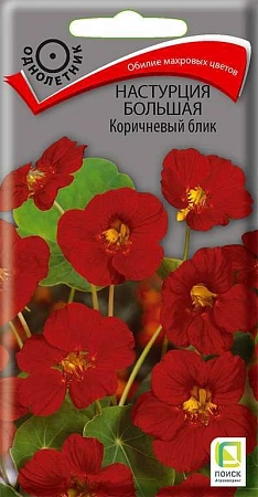 Настурция большая Коричневый блик, 1 г (Поиск)