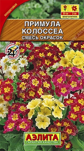 Примула Колоссеа, смесь 0,05 г Примула Колоссеа, смесь 0,05 г