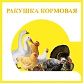 Ракушка кормовая для птиц Ракушка кормовая для птиц
