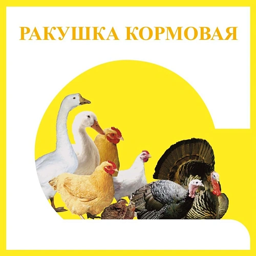 Ракушка кормовая для птиц Ракушка кормовая для птиц