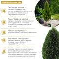Удобрение Bona Forte Хвойное с биодоступным кремнием гранулированное пролонгированное, 1 л Удобрение Bona Forte Хвойное с биодоступным кремнием гранулированное пролонгированное, 1 л