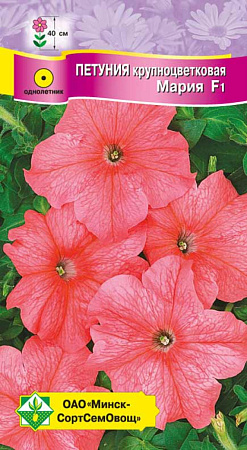 Петуния крупноцветковая Мария F1, 10 шт (МССО)