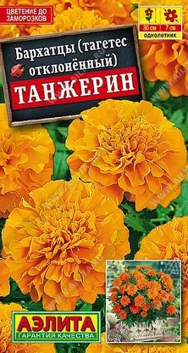 Бархатцы Танжерин обильноцветущие 0,3 г (АЭЛИТА) Бархатцы Танжерин обильноцветущие 0,3 г (АЭЛИТА)