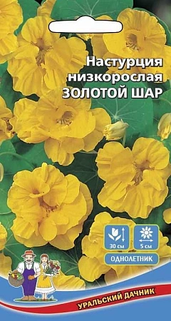 Настурция Золотой шар низкорослая (УД)
