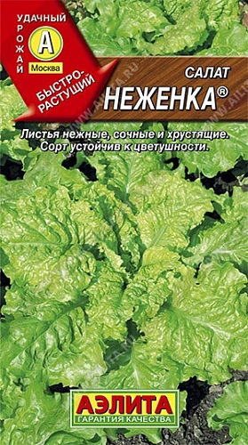 Салат листовой Неженка, 1 г (АЭЛИТА) Салат листовой Неженка, 1 г (АЭЛИТА)