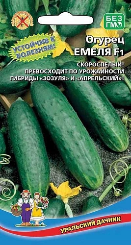 Огурец Емеля F1 (УД) Огурец Емеля F1 (УД)