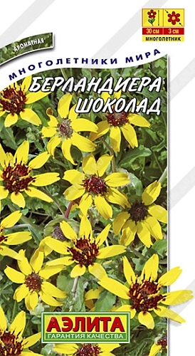 Берландиера Шоколад 5 шт Берландиера Шоколад 5 шт