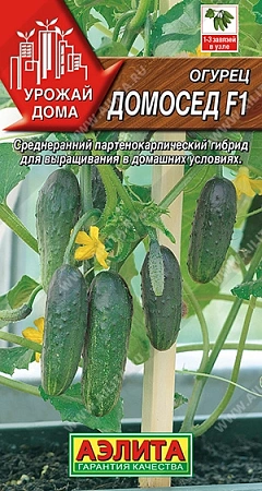 Огурец Домосед F1, 10 шт (Аэлита) Огурец Домосед F1, 10 шт (Аэлита)