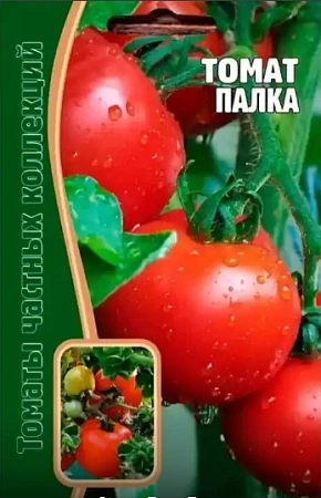 Томат Палка, 8 шт (Ред сем)