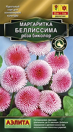 Маргаритка Белиссима роза биколор 7 шт