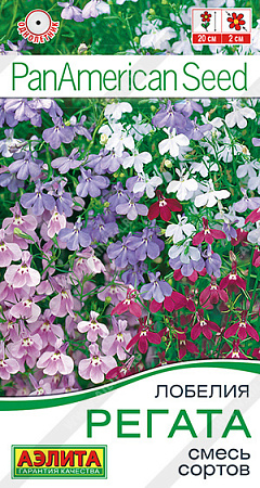 Лобелия Регата ампельная, смесь 3 шт (Аэлита) Лобелия Регата ампельная, смесь 3 шт (Аэлита)
