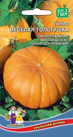Тыква Веселая толстушка, 6 шт (УД)