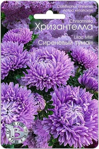 Астра китайская Хризантелла Сиреневый туман, 30 шт (Биотехника) Астра китайская Хризантелла Сиреневый туман, 30 шт (Биотехника)