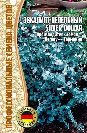 Эвкалипт Пепельный Silver Dollar, 5 шт (Ред.сем)