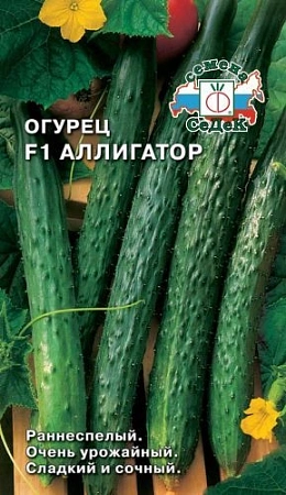 Огурец Аллигатор F1, 0,2 г (СеДек)