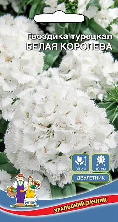 Гвоздика турецкая Белая Королева, 0,2 г (УД)
