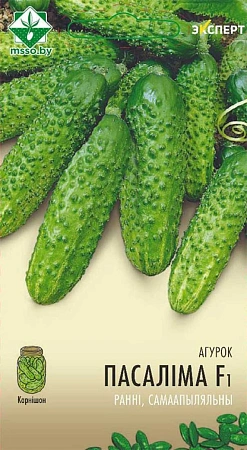 Огурец Пасалимо F1, 10 шт (Эксперт) (МССО) Огурец Пасалимо F1, 10 шт (Эксперт) (МССО)