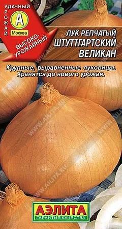 Лук репчатый Штуттгартский великан, 1 г (АЭЛИТА) Лук репчатый Штуттгартский великан, 1 г (АЭЛИТА)