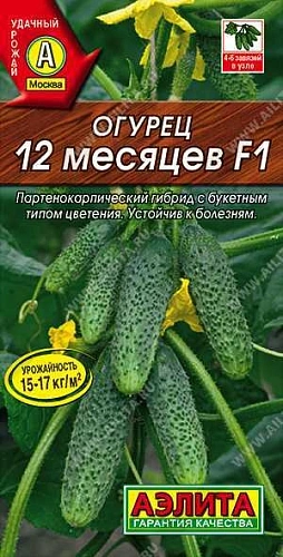 Огурец Дамские пальчики F1, 10 шт (Аэлита) Огурец Дамские пальчики F1, 10 шт (Аэлита)