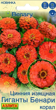 Цинния Гиганты Бенари корал 7 шт (АЭЛИТА)