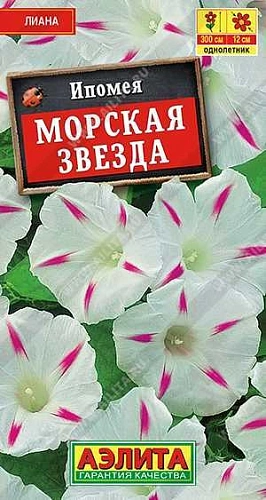 Ипомея Морская звезда 0,5 г (АЭЛИТА) Ипомея Морская звезда 0,5 г (АЭЛИТА)
