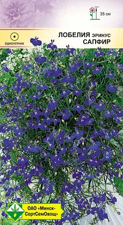 Лобелия эринус Сапфир 0,05 г (МССО) Лобелия эринус Сапфир 0,05 г (МССО)