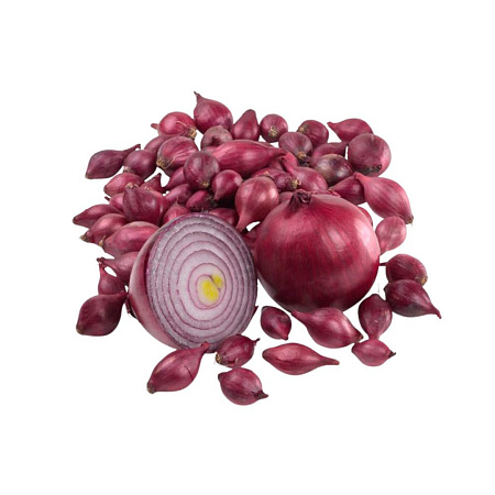 Лук-севок Кармен