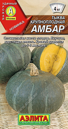 Тыква крупноплодная Амбар, 1 г (Аэлита)
