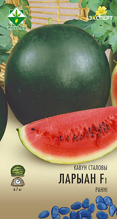 Арбуз Лориан F1, 6 шт (Эксперт) (МССО)